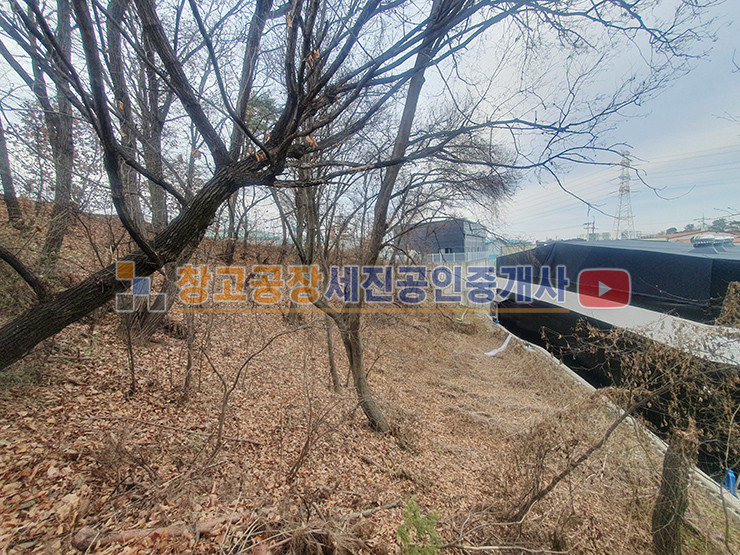 경기 고양일산동구 지영동 도로접한 계획관리 임야, 단차 건물로 창고 건축 가능, 도로지분 없는 알땅 매매 매물번호 12302 사진 3