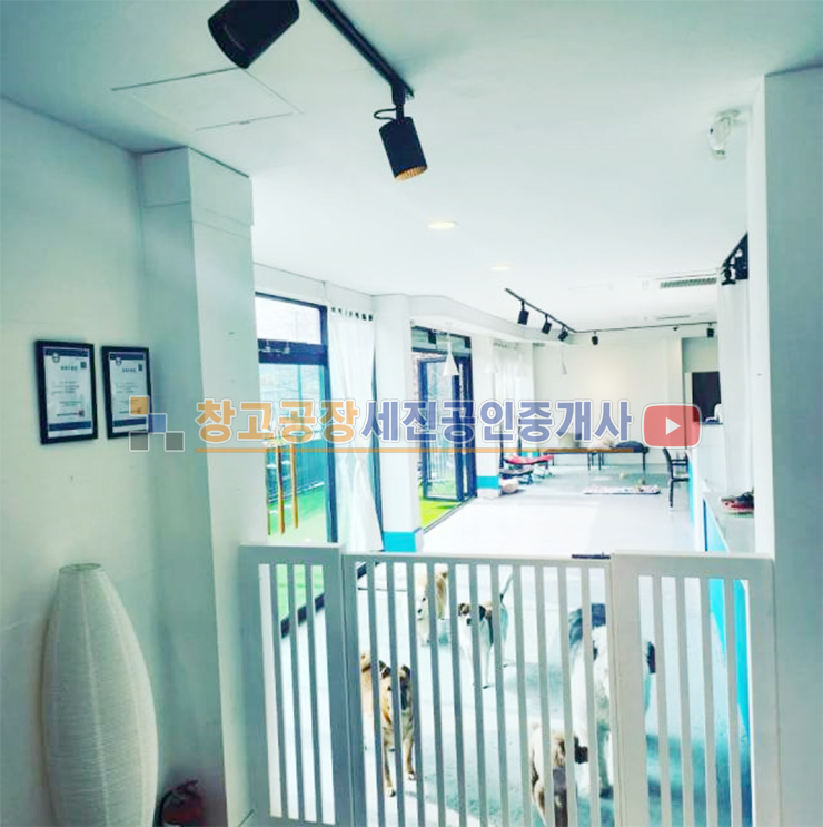 경기 고양일산동구 성석동 27평 1동, 애견 유치원 영업 중, 4차선 도로접, 광고 효과 최상, 권리금 있음 월세 매물번호 13460 사진 3
