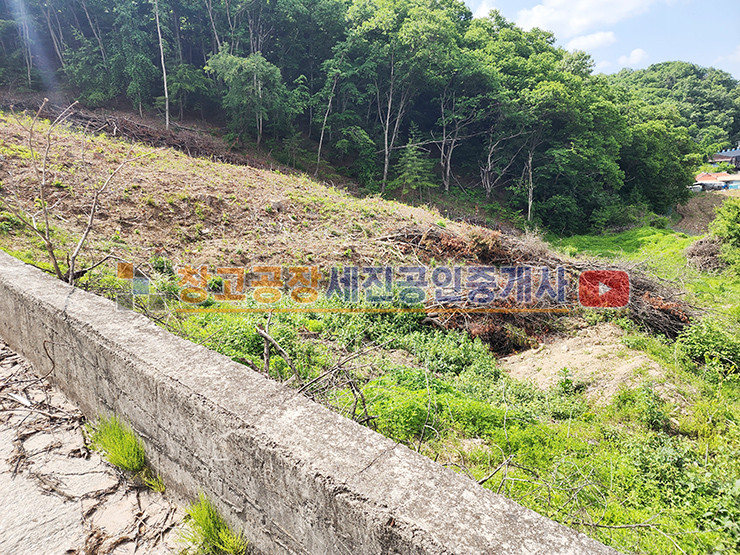경기 파주시 문산읍 이천리 최대한 가격 조정 가능, 현재 나무 벌목 상태, 도로 접, 선유일반산업단지 근접 매매 매물번호 14052 사진 5
