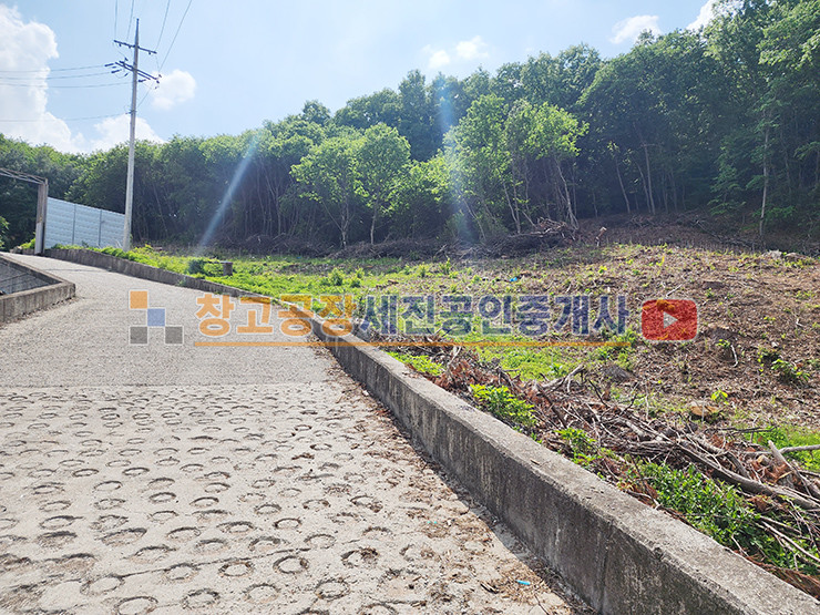 경기 파주시 문산읍 이천리 최대한 가격 조정 가능, 현재 나무 벌목 상태, 도로 접, 선유일반산업단지 근접 매매 매물번호 14052 사진 6