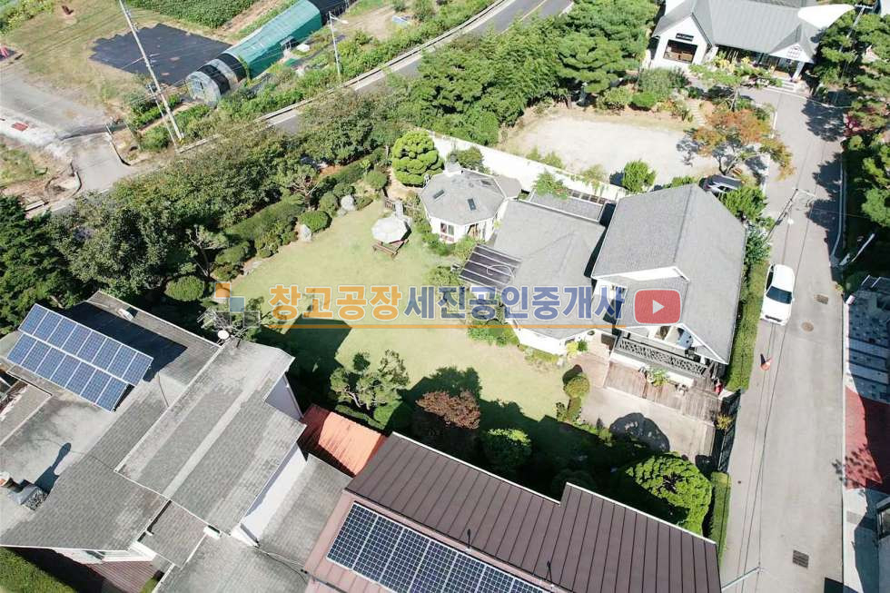 경기 고양일산동구 설문동 도로접 위치, 멋진 소나무 조경수 매매 매물번호 14566 사진 2