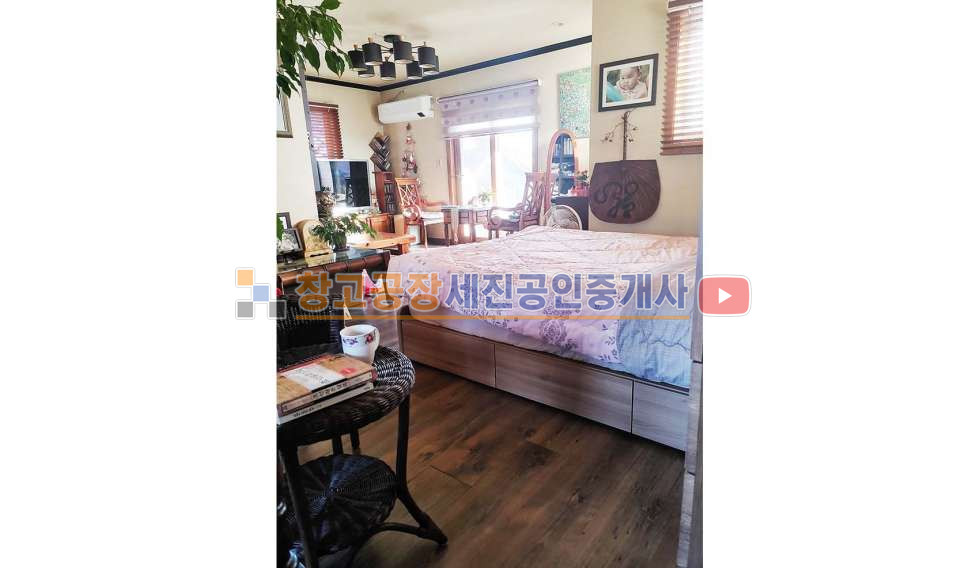 경기 고양일산동구 설문동 도로접 위치, 멋진 소나무 조경수 매매 매물번호 14566 사진 23
