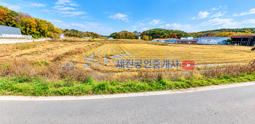 경기 파주시 파주읍 봉암리 약 1000평 계획관리, 280평 자연녹지, 도로접 위치, 대형 차 진출입 매매 매물번호 14609 사진 3